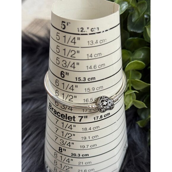 Pandora Celestial Clasp Bangle - Picture 6 of 6